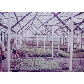 Lands & Survey Plant Nursery Taupo