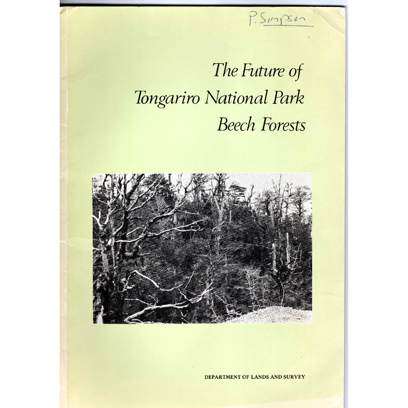 The Future of Tongariro National Park Beech Forests