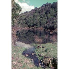 Base of Colonial Knob Walkway: Wellington Land District