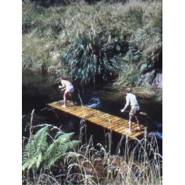 Paddling a bridge: Te Urewera National Park