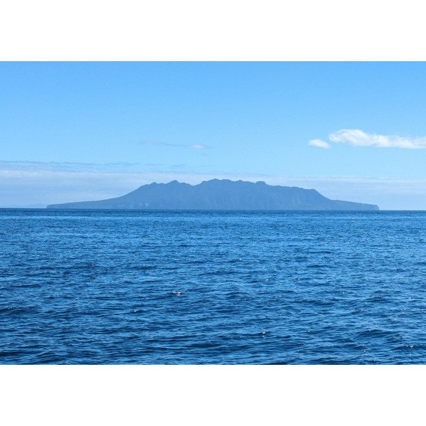 LIttle Barrier Island Nature Reserve - Te Hauturu-o-Toi