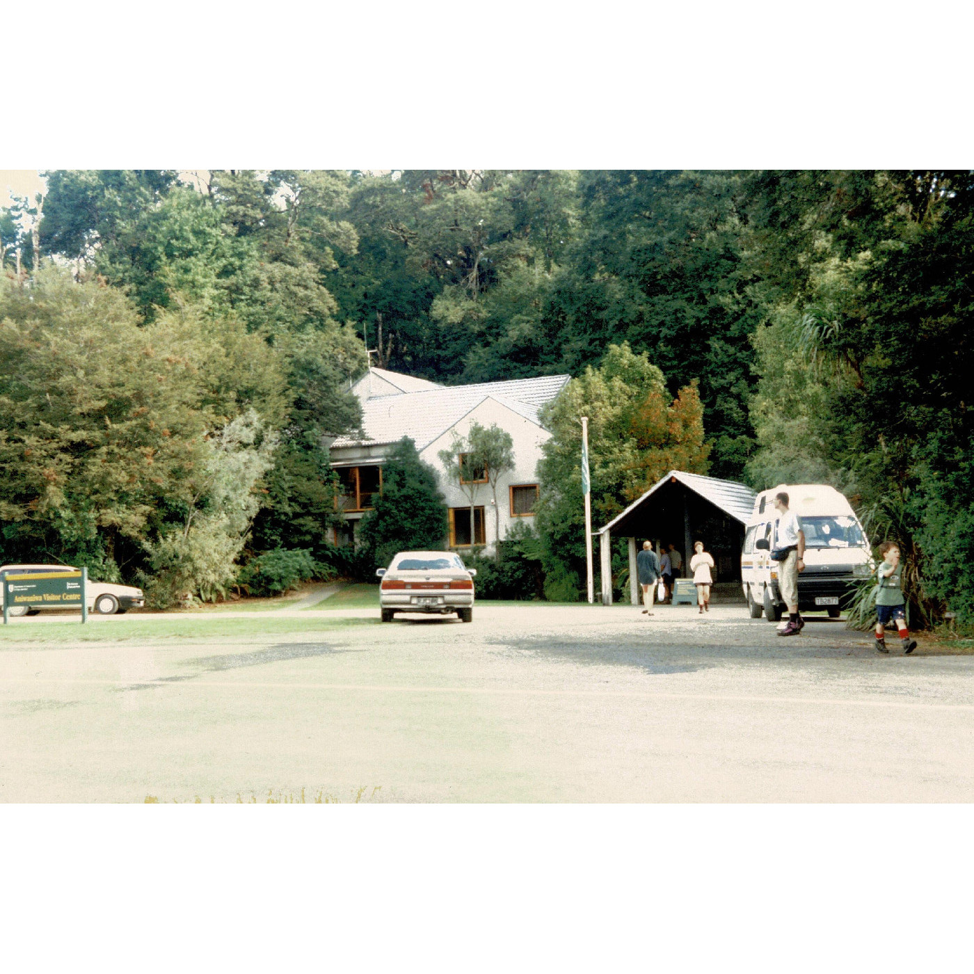 Te Urewera Park Headquarters 1981