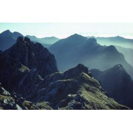 Paparoa Range: Westland