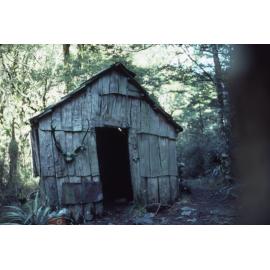 Mount Owen: Kahurangi National Park
