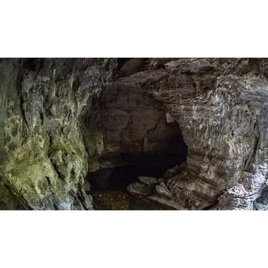 More Thoughts and Adventures: Diploma in Parks and Recreation, Nettlebed Cave expedition, management at the national level, 1985 ACKMA Conference