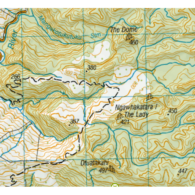 Cave and karst management at the local level: Puketiti Flower Cave, Waitomo Museum and Visitor Centre, Ruapuha Uekaha Hapu land claim, Ruakuri Tourist Cave ownership,
