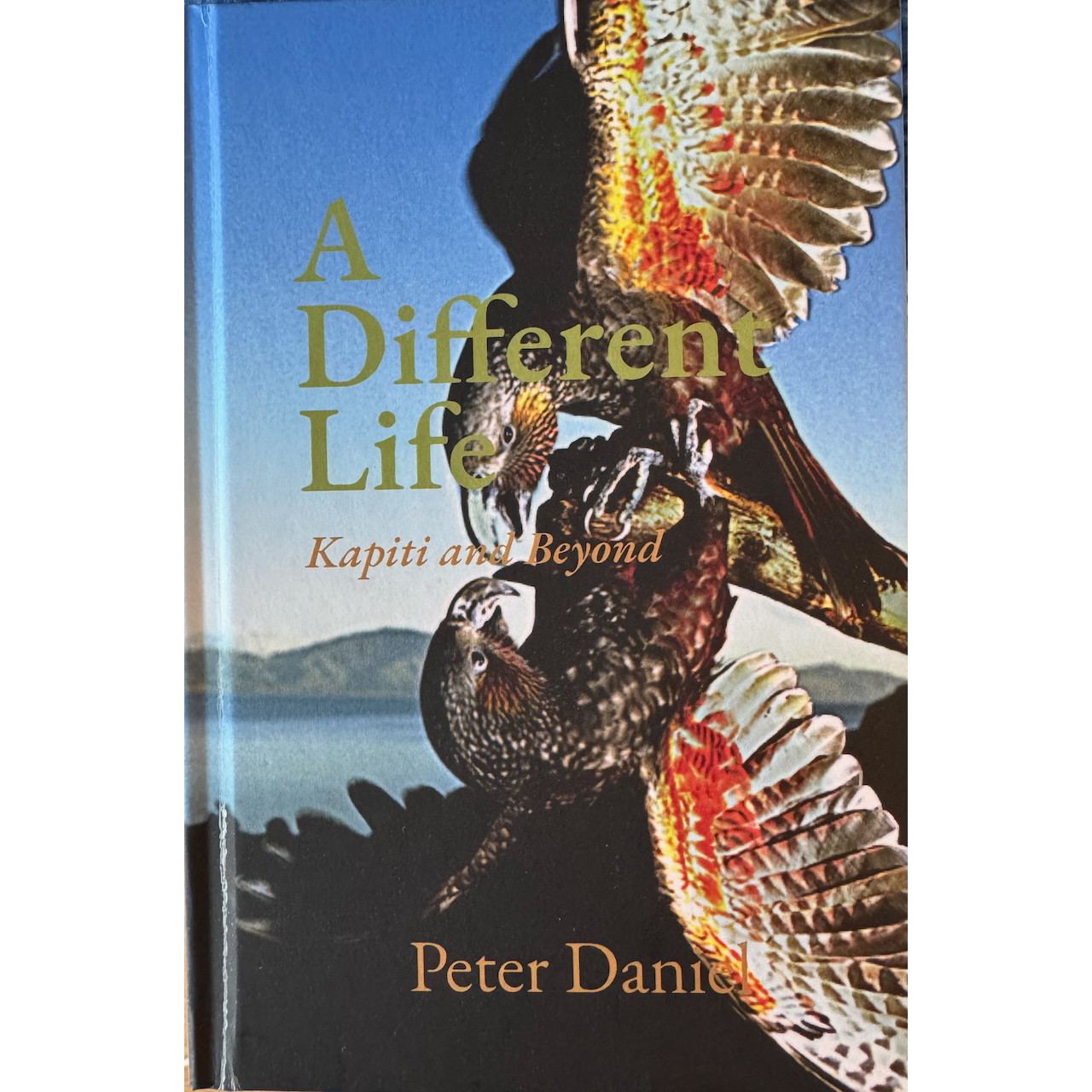A Different Life - Kapiti and Beyond