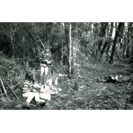 Ray O'Brien, Mahuia Track: Tongariro National Park