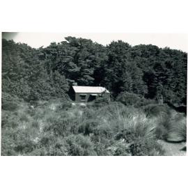 Old Waihihonu hut: Tongariro National Park