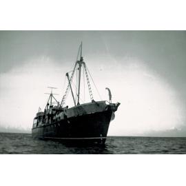 M.V. Colville at Little Barrier Island: Hauraki Gulf Maritime Park