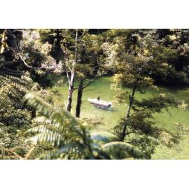 Bruce Arnold: AbelTasman National Park 