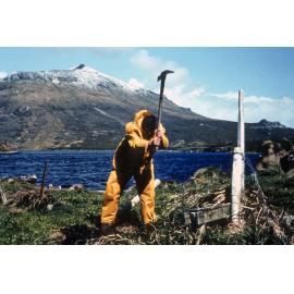 Mount Honey: Campbell Island