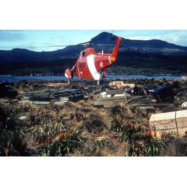 Supply: Campbell Island