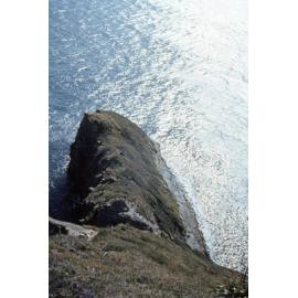 Titi Island: Marlborough Sounds Maritime Park