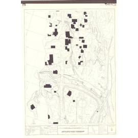Aerial plan of Arthur's Pass township: Arthur's Pass National Park