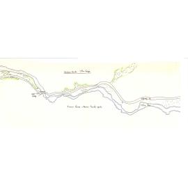Noxious weeds: Arthur's Pass National Park