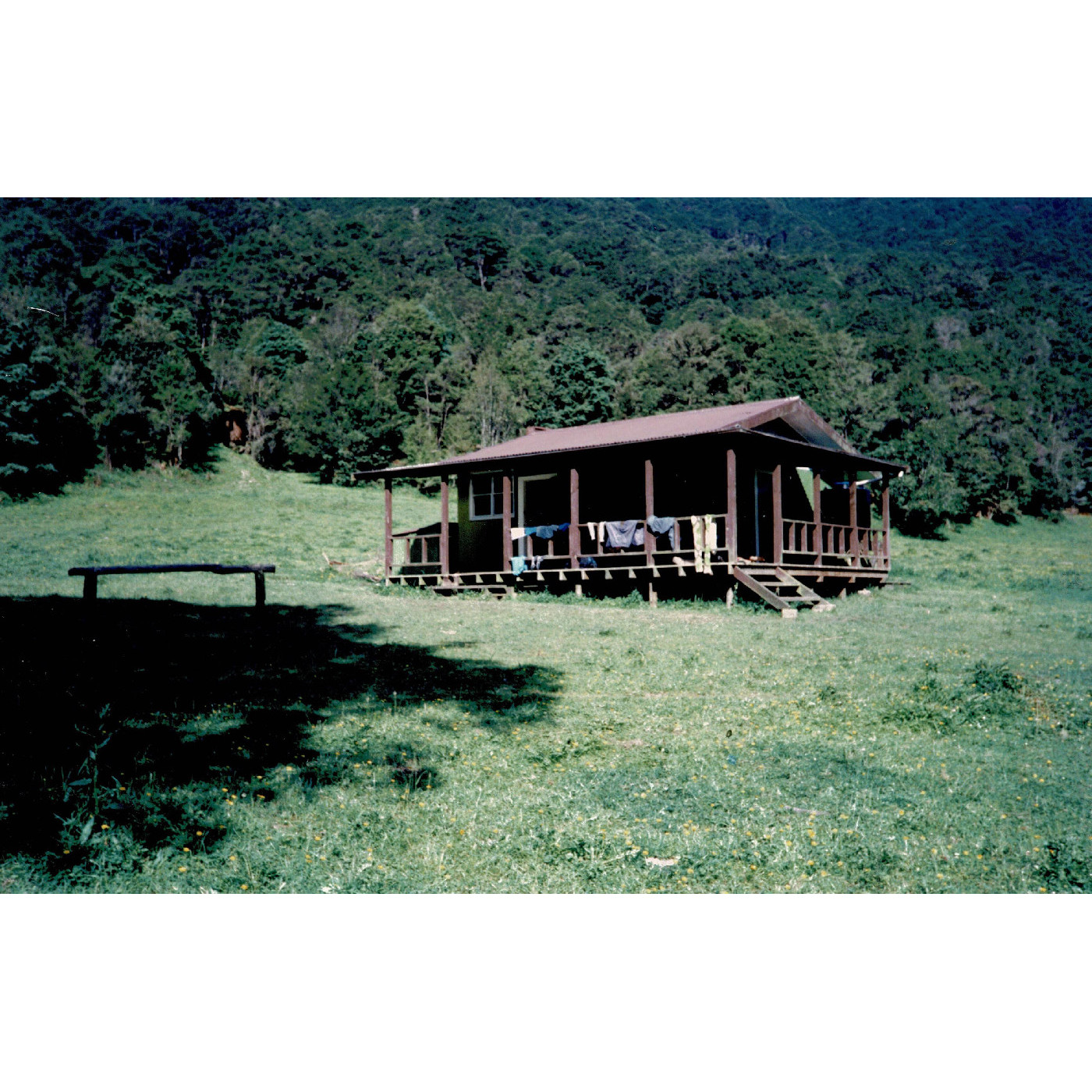 Huts and Lodges: Te Urewera National Park