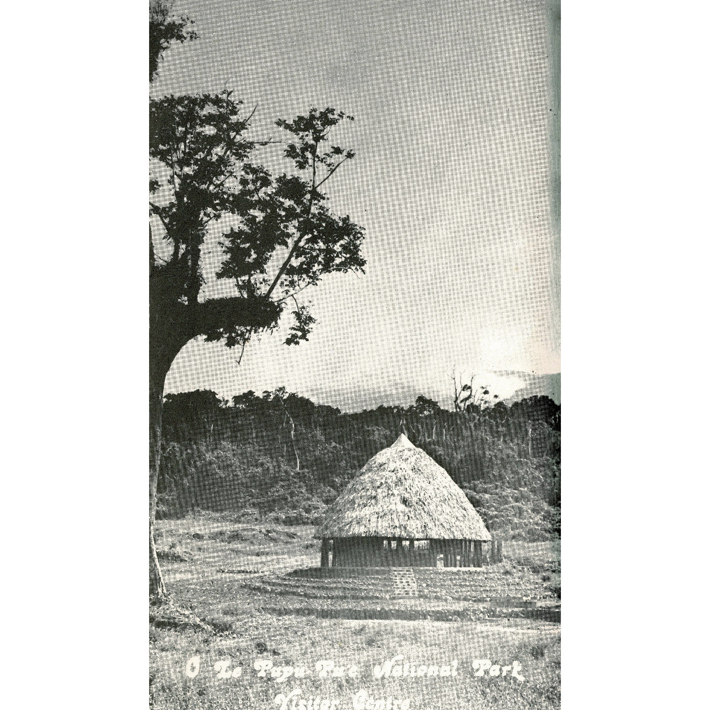 Visitor Centre Opening-Cover for Brochures