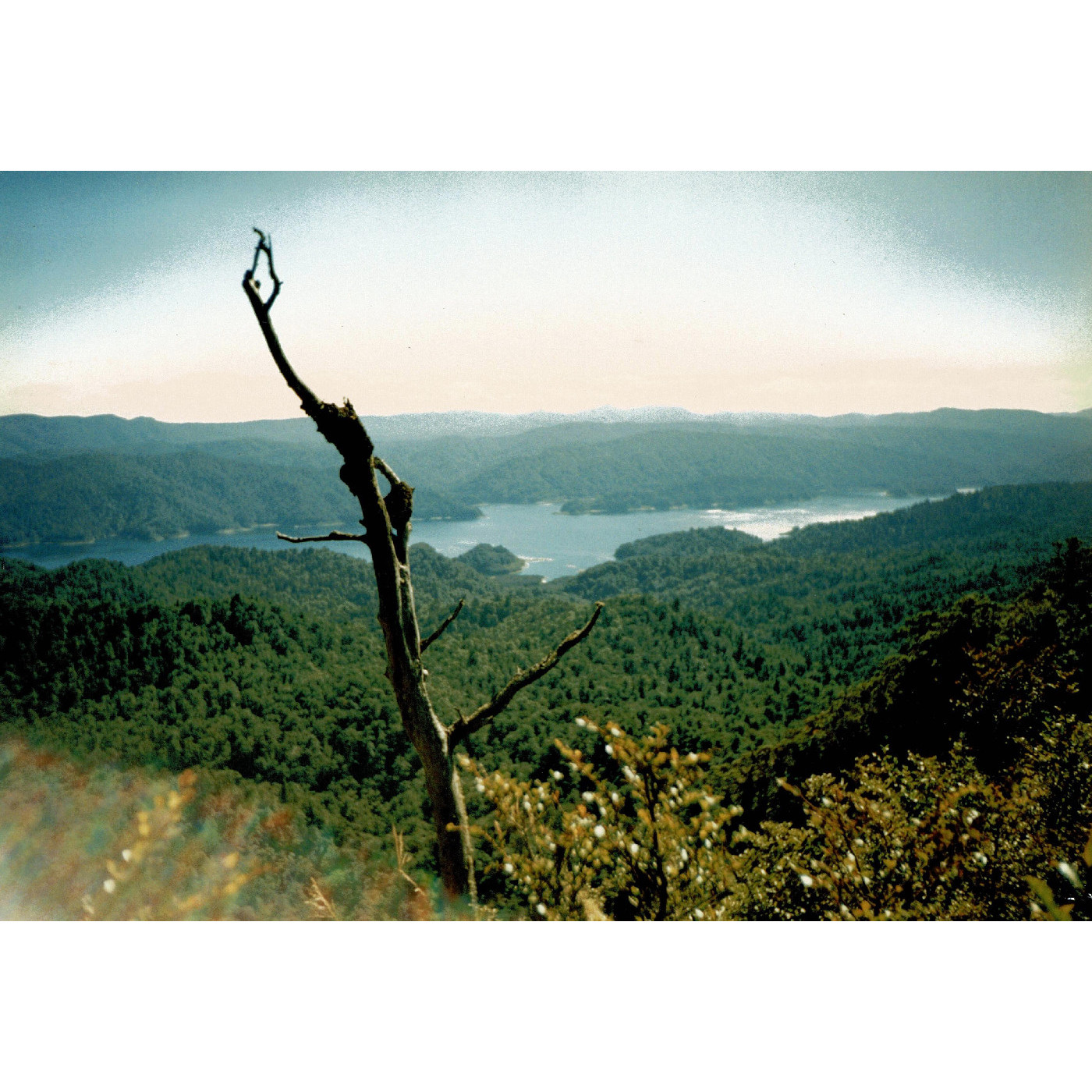 Lake Waikaremoana