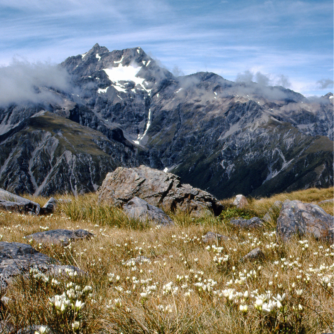 Arthur’s Pass National Park