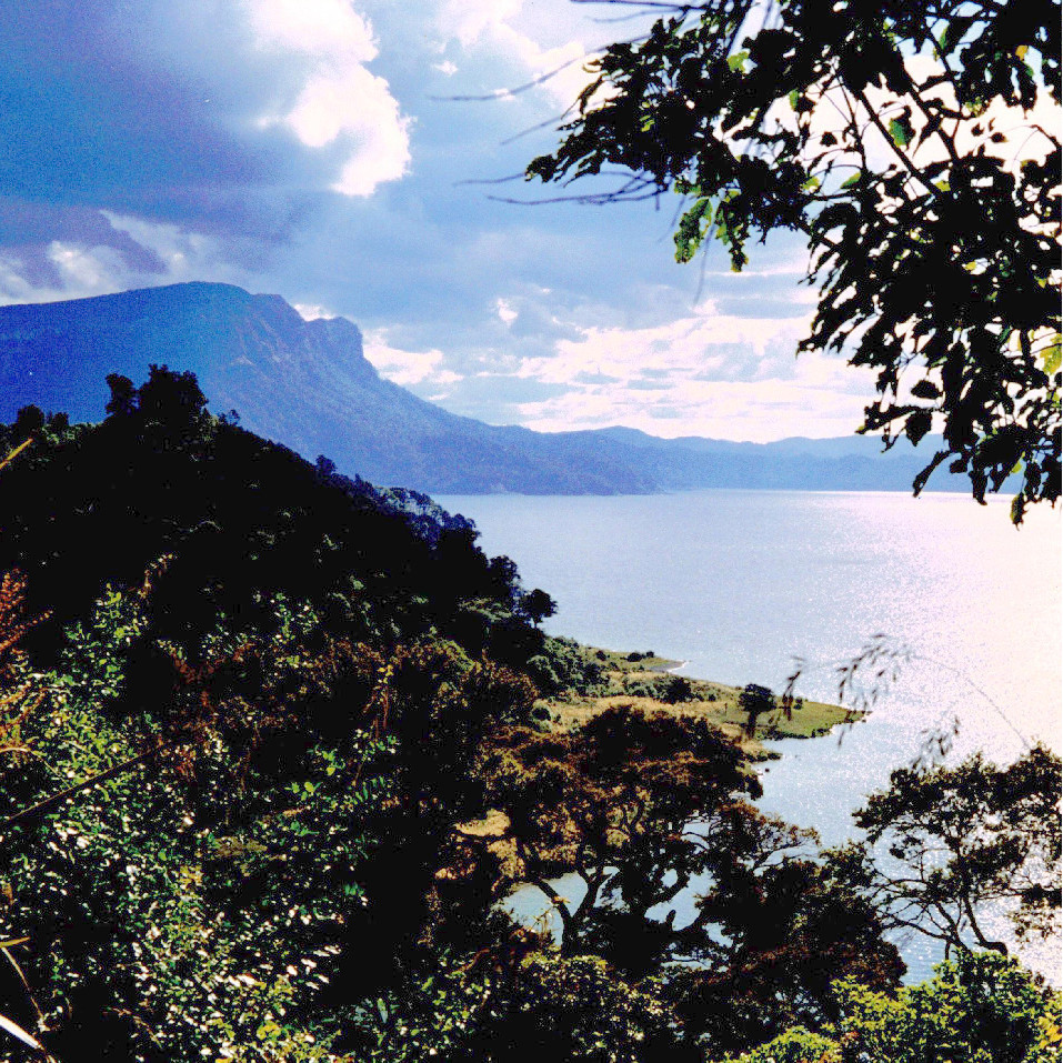 Te Urewera National Park