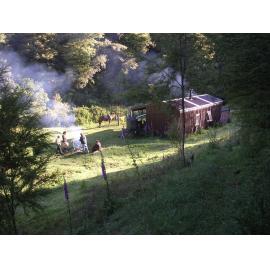 Ohora Hut, Te Urewera National Park