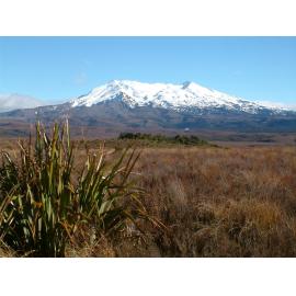 Mount Ruapehu, late spring