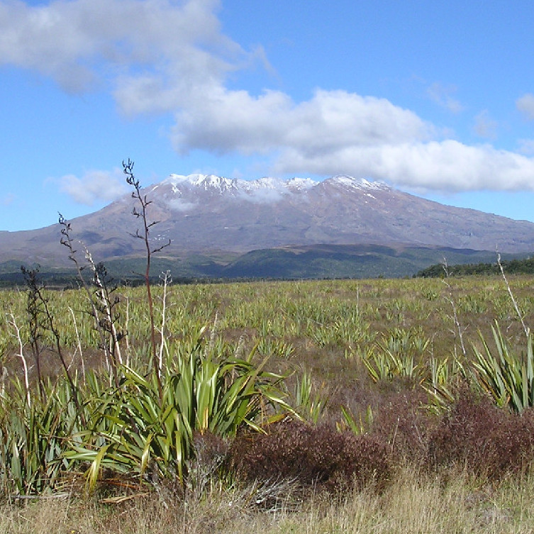 Tongariro National Park