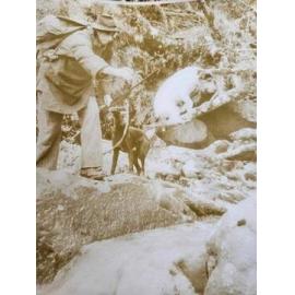 Wally Sander tossing a mate's dog across a stream