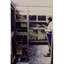Ray Water in the greenhouse at Tiritiri Matangi