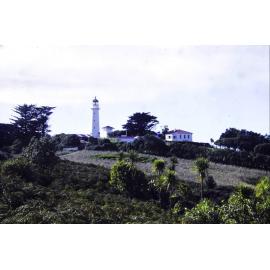 Tiritiri lighthouse and farm