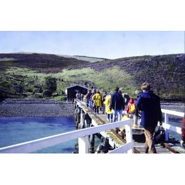 Tree planting group landing at Tiritiri Matangi Island