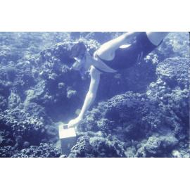 Interpretive signs in Palolo Deep