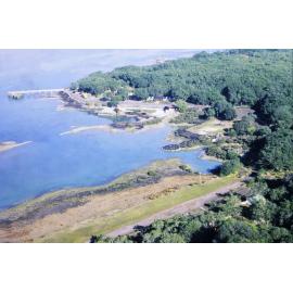 Rangitoto Wharf area from the plane