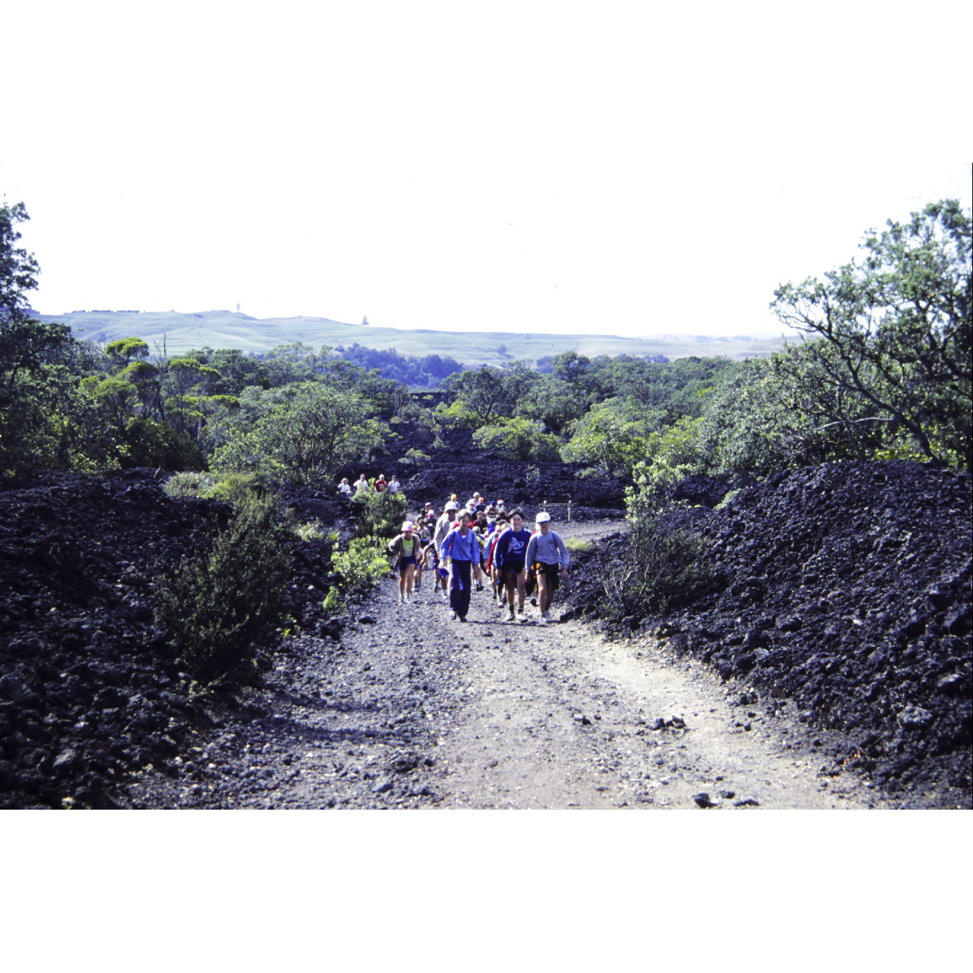 Rangitoto Island Scenic Reserve