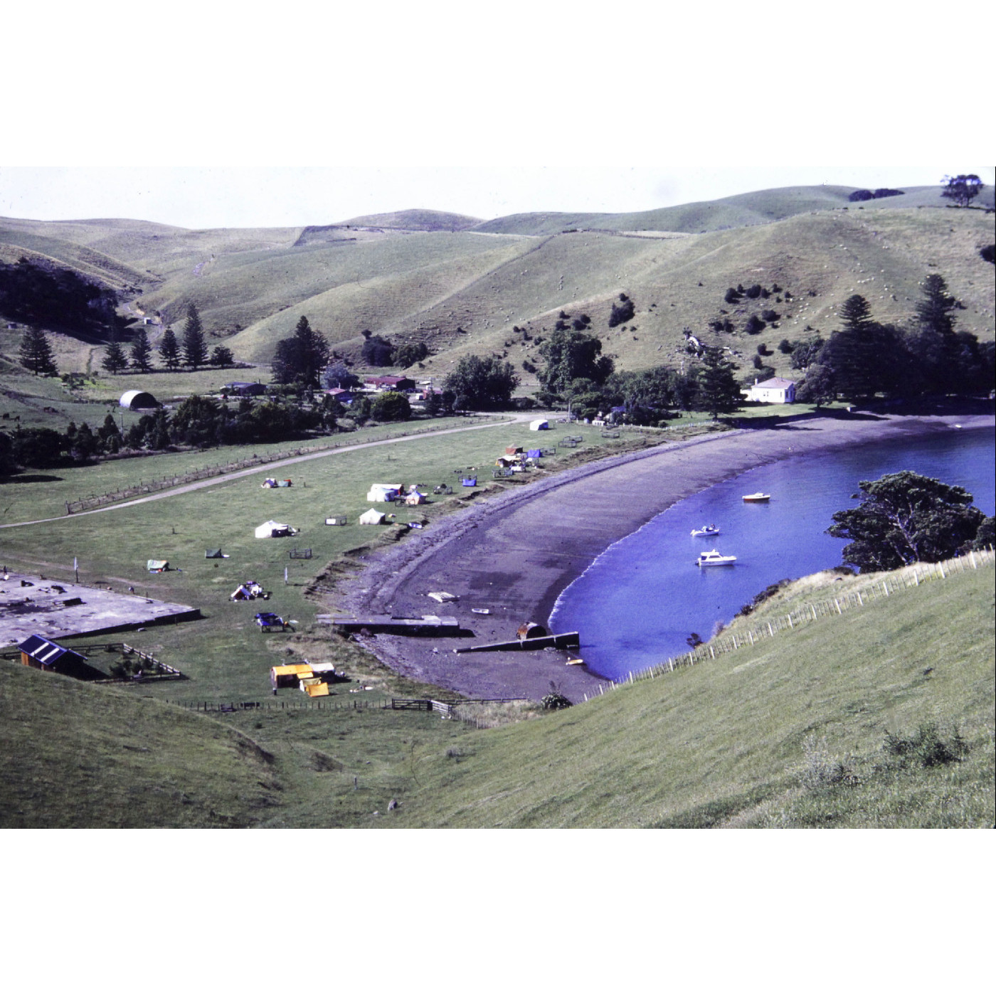 Motutapu Island Recreation Reserve