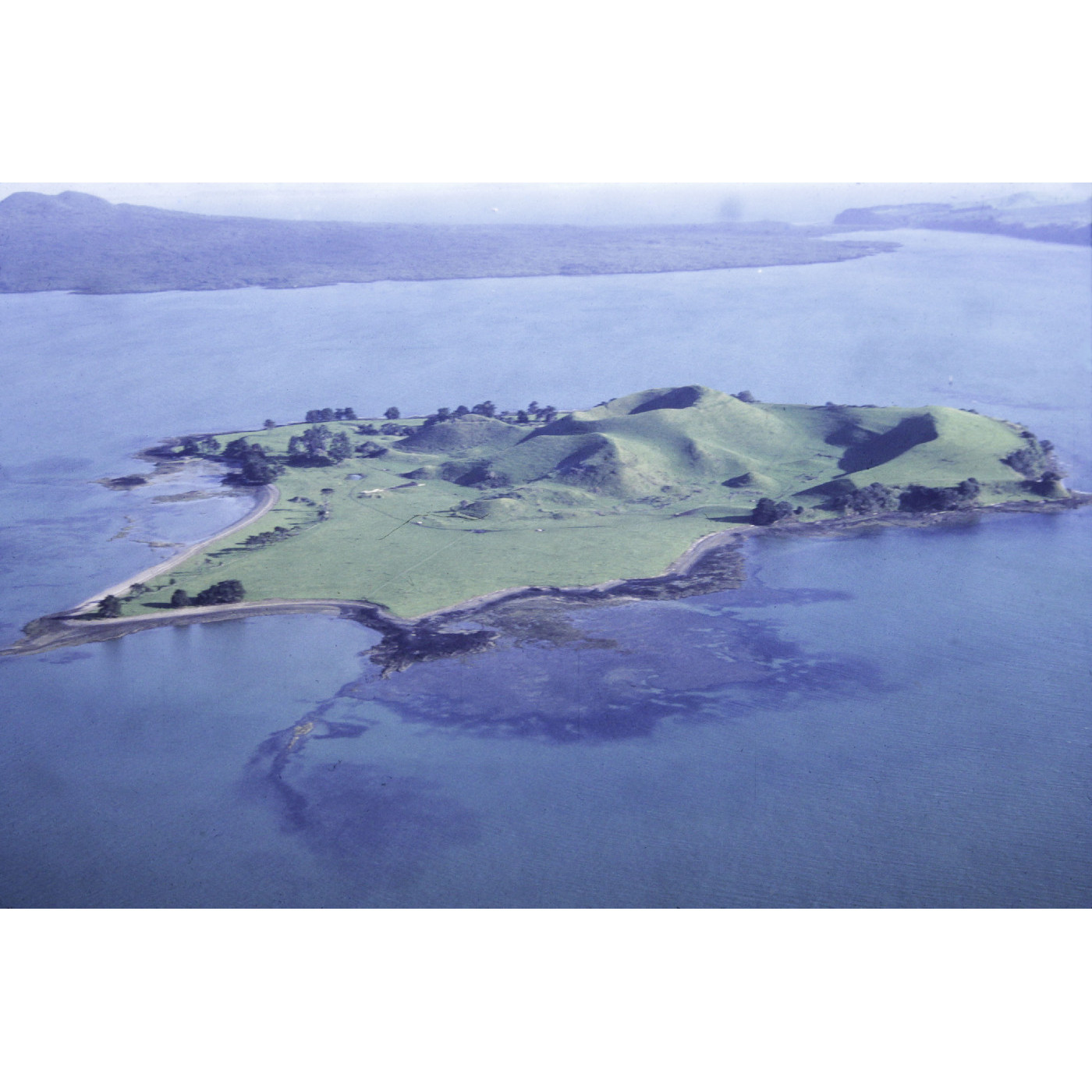 Brown's Island- Motukorea Recreation Reserve