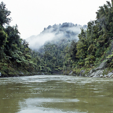 Whanganui National Park