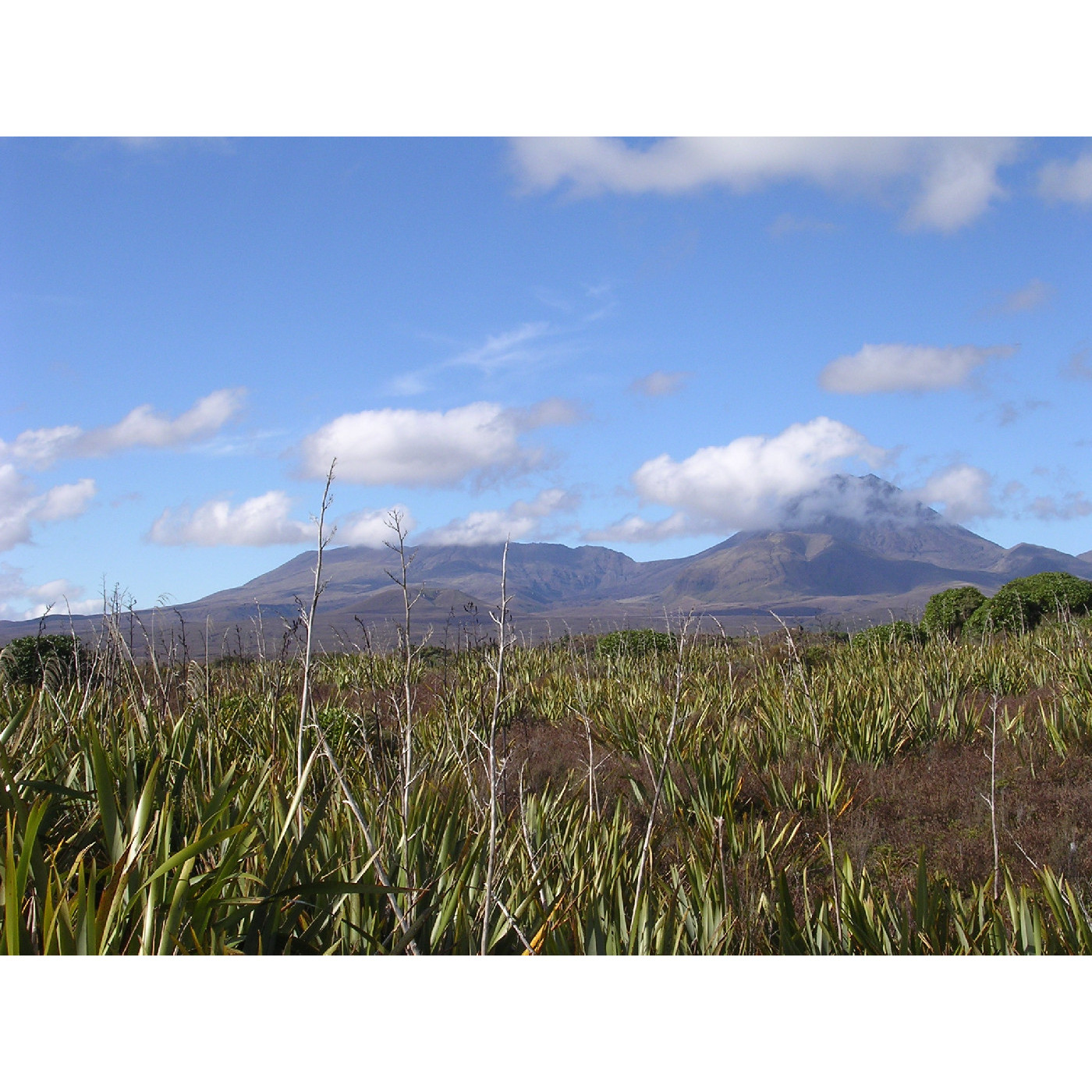 Mount Tongariro