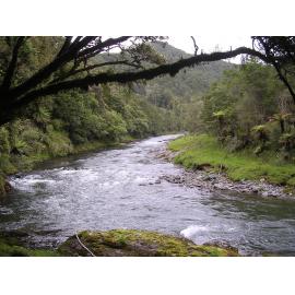 Whakatane River-Te Urewera National Park