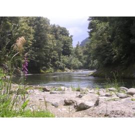 Whakatane River Te Urewera National Park
