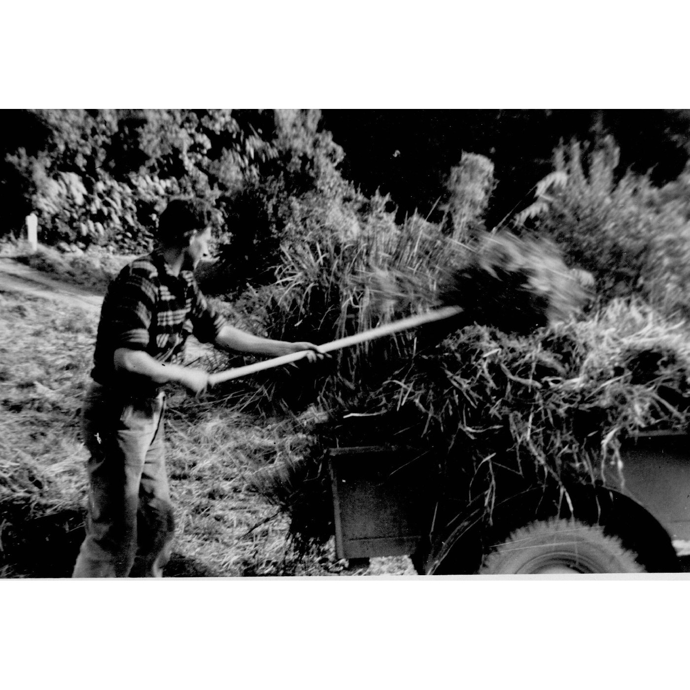 Wally Sander at Hopuruahine campsite