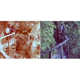 Construction Hollyford Track: Fiordland National Park