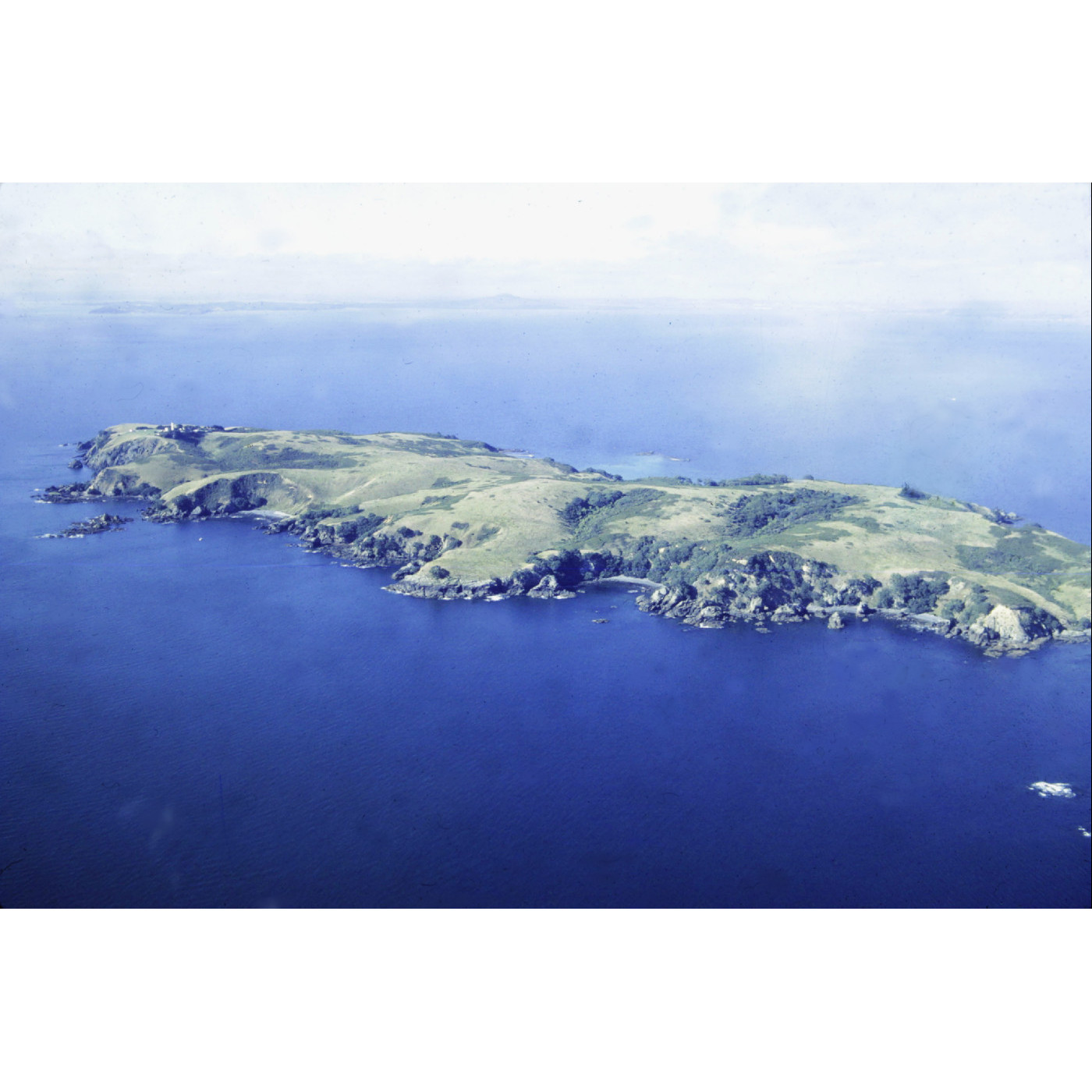 Tiritiri Matangi: the story of its development as an open sanctuary