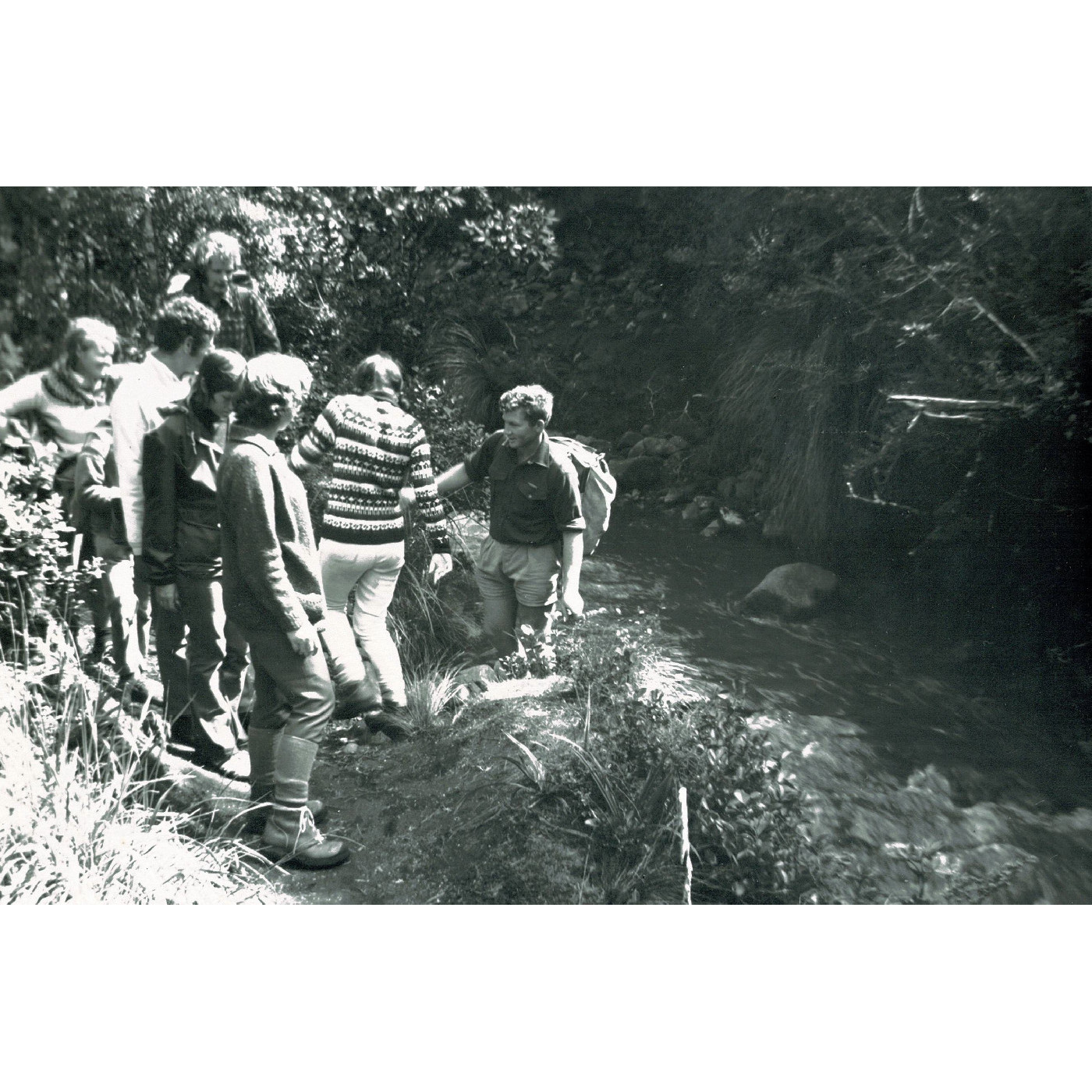 Summer Programme Walk, Tongariro National Park