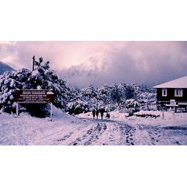Snow at Christmas: Nelson Lakes National Park