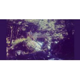 George Lyons bridge: Nelson Lakes National Park