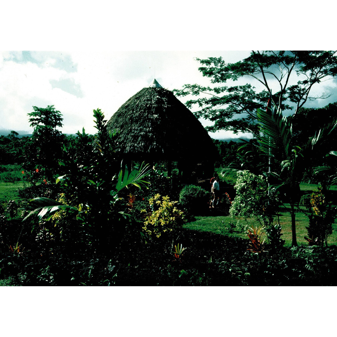 Visitor fale