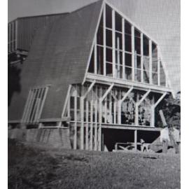 Franz Josef Visitor construction