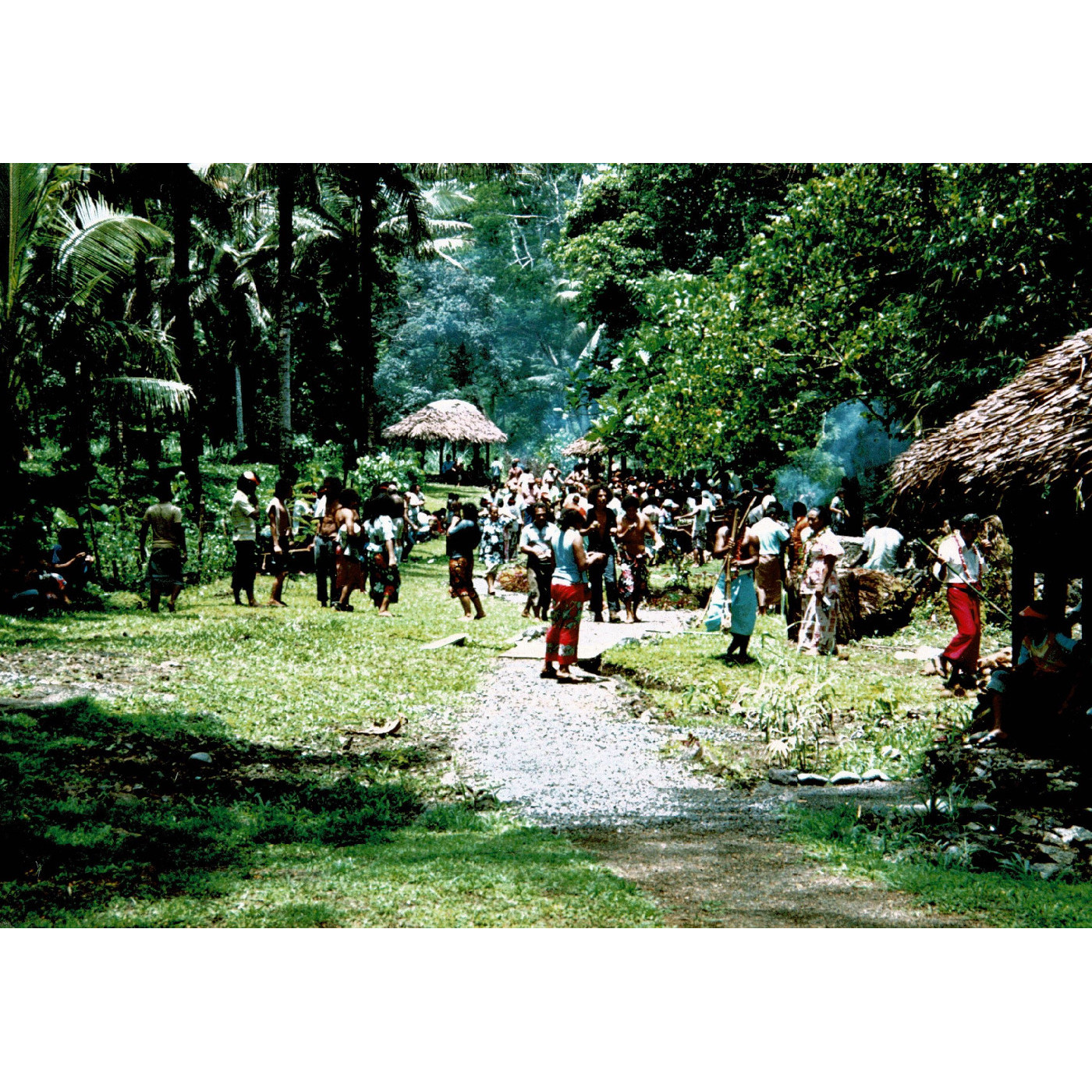 Togitogiga Reserve Picnic Area